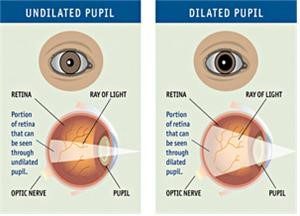 눈동자, Pupilography